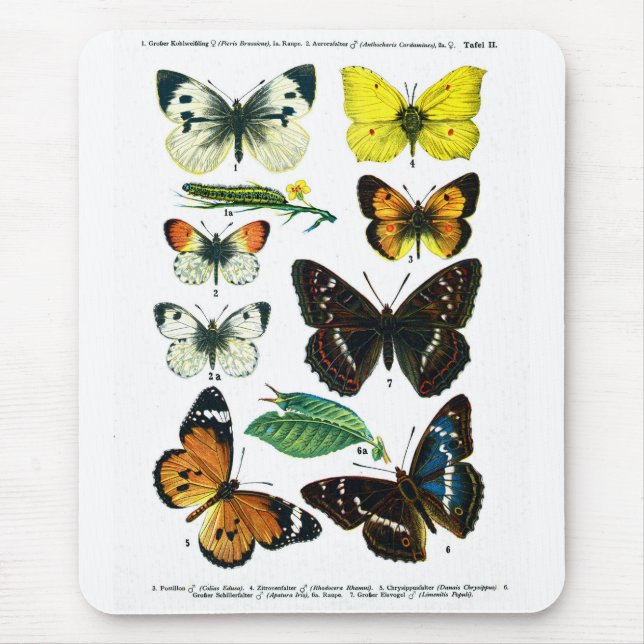 European Butterflies Plate II Mousepad (Front)