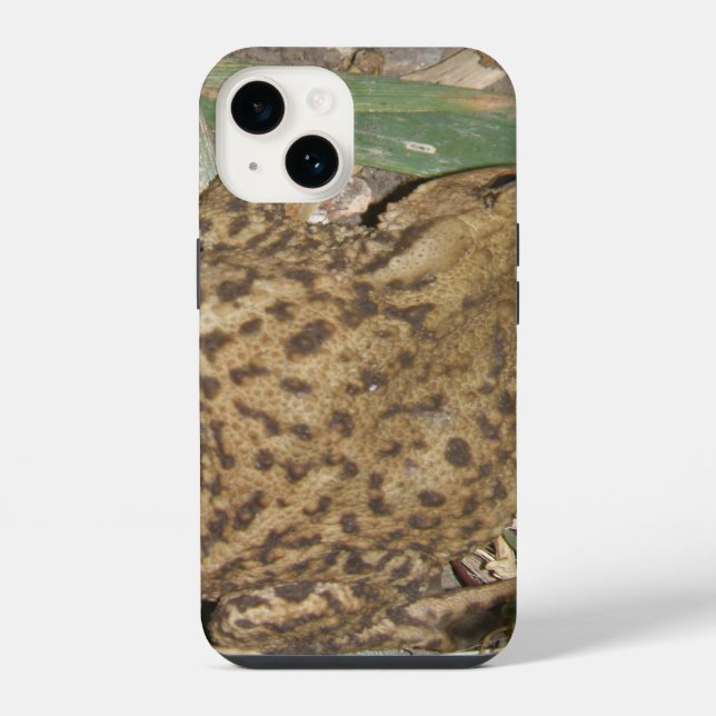 European Common Toad iPhone 5 Case (Back)