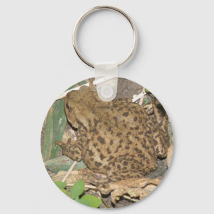 European Common Toad Keychain