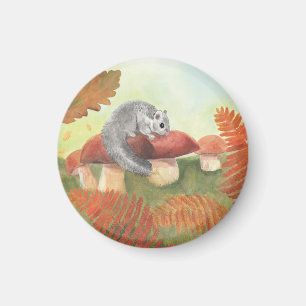 European Fat Dormouse (Glis glis) in Nature   Magnet