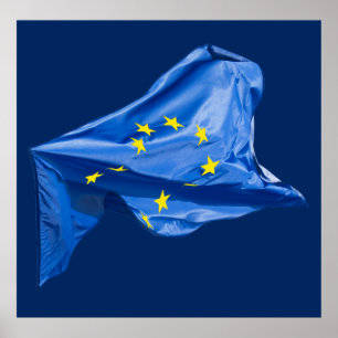 European flag poster