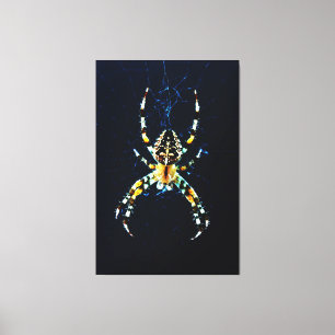 European Garden Spider 40x60 (100x150cm) waccna Canvas Print