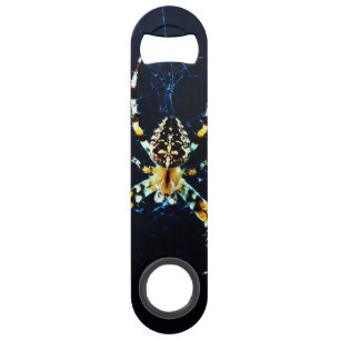 European Garden Spider bocn Bar Key