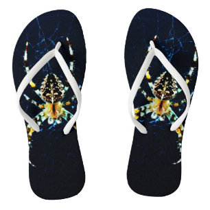 European Garden Spider ffcn Jandals