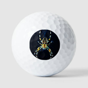European Garden Spider va gbcna Golf Balls