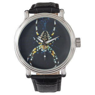 European Garden Spider waa Watch