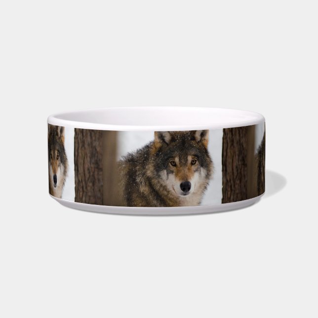 European grey wolf bowl (Front)
