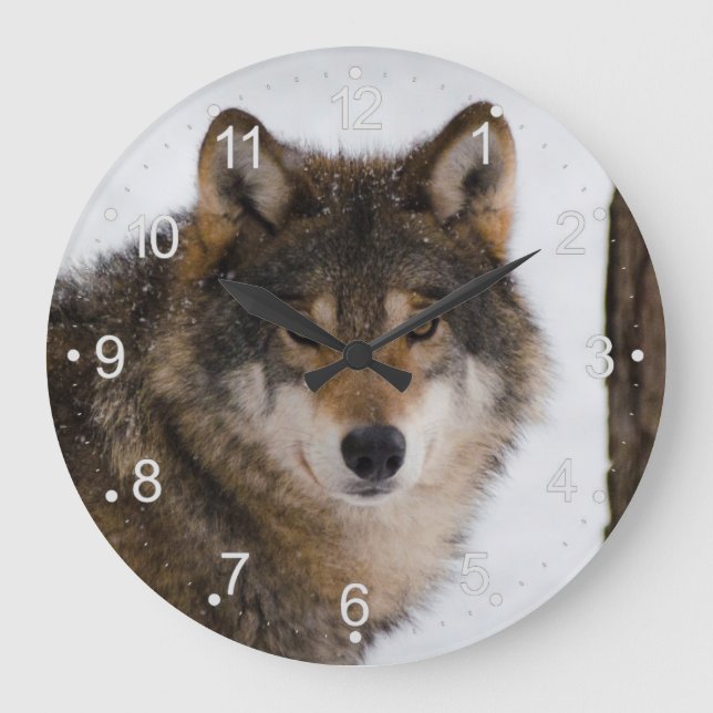 European grey wolf large clock (Front)