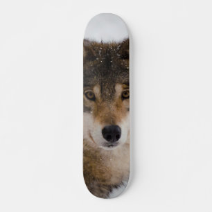 European grey wolf skateboard