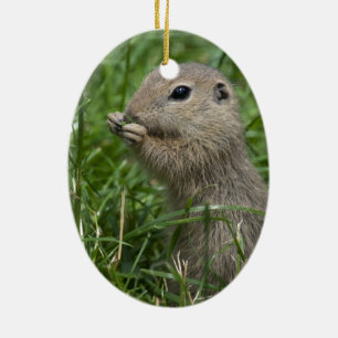 European ground squirrel ceramic tree decoration