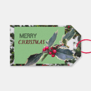 European Holly with Snow Merry Christmas Gift Tag