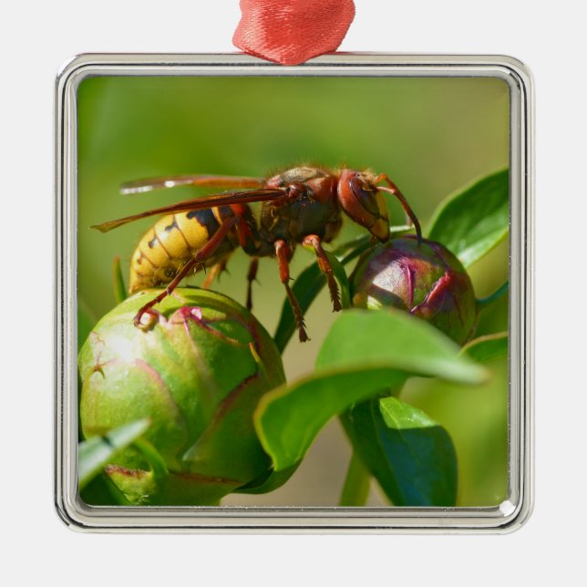 European hornet on bud flower metal tree decoration (Front)