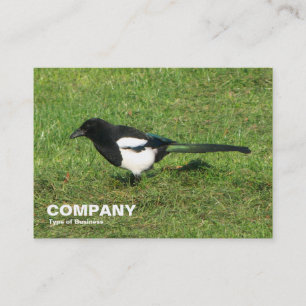 European Magpie Business Card