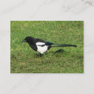 European Magpie Business Card