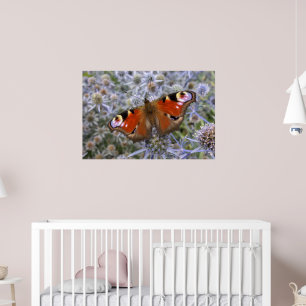 European Peacock or the Peacock Butterfly Poster