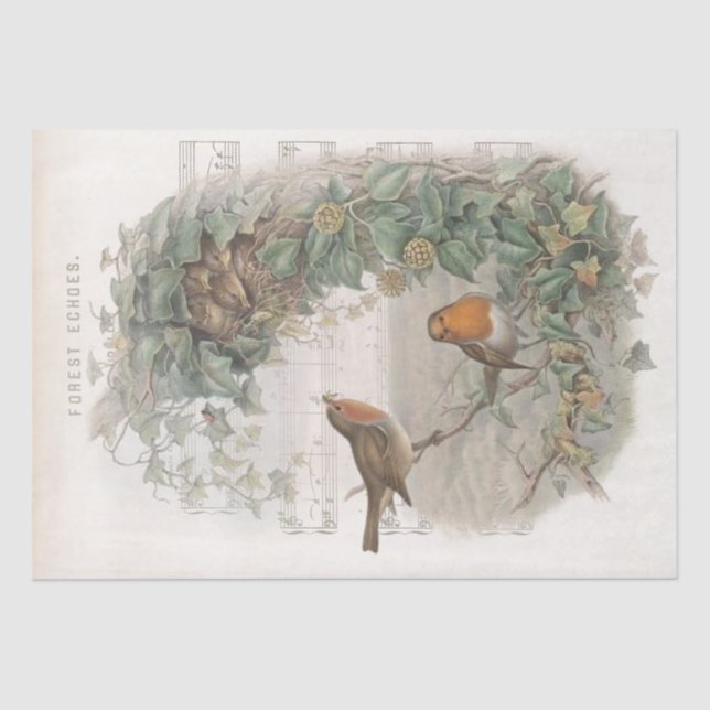 European Robin Bird Nest Vines Old Music Decoupage Tissue Paper (Front)