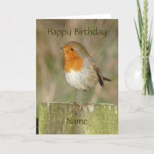 "European Robin-Bird Northumberland England" Card