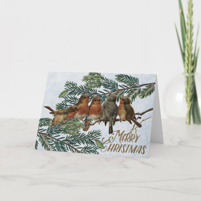 European Robin Birds Christmas Holiday Evergreen Card (Front)