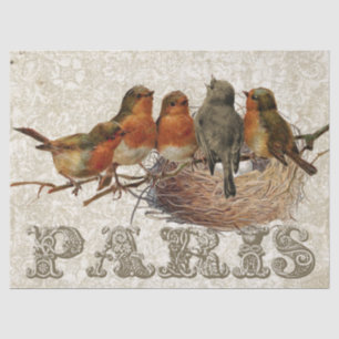 European Robin Birds Nest Paris Decoupage Tissue Paper