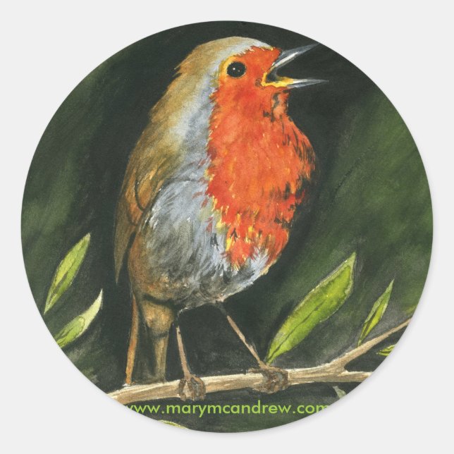 European Robin - England Bird Stickers (Front)