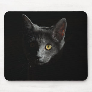 European Shorthair Black Cat Cat Portrait Mouse Pad
