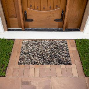 European spruce bark beetle doormat
