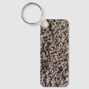 European spruce bark beetle key ring