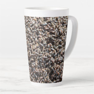 European spruce bark beetle latte mug