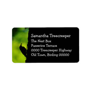 European treecreeper label