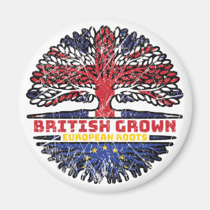 European Union EU Europe Uk United Kingdom British Magnet