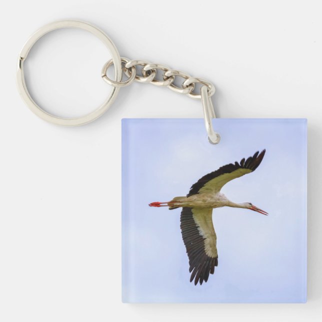 European white stork key ring (Front)