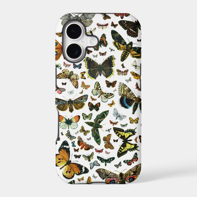 Europe's Best-Known Butterflies and Moths Collage (Back)