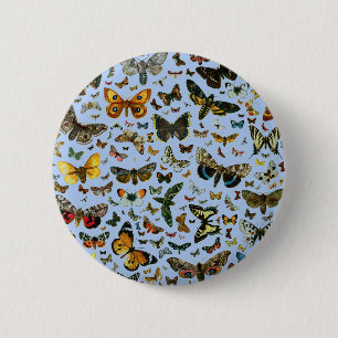 Europe's Best-Known Butterflies and Moths Collage 6 Cm Round Badge