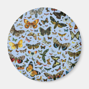 Europe's Best-Known Butterflies and Moths Collage Magnet
