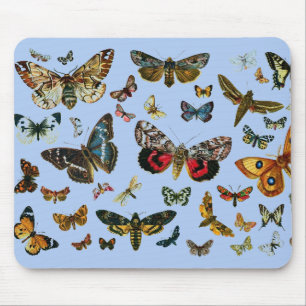 Europe's Best-Known Butterflies and Moths Collage Mouse Pad