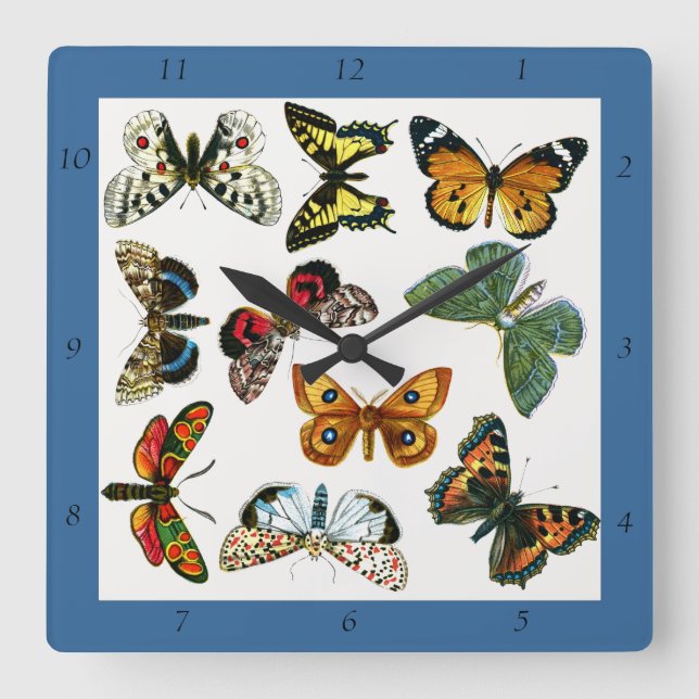 Europe's Best-Known Butterflies and Moths Collage Square Wall Clock (Front)
