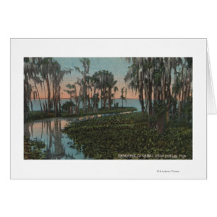 Eustis, Florida - View of Swampy Canal