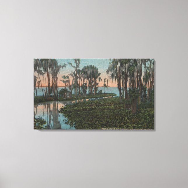 Eustis, Florida - View of Swampy Canal Canvas Print (Front)