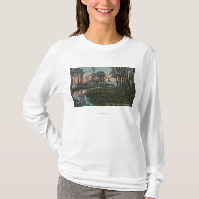 Eustis, Florida - View of Swampy Canal T-Shirt (Front)
