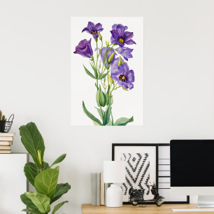 Eustoma Russelianum, Purple Flowers, Poster