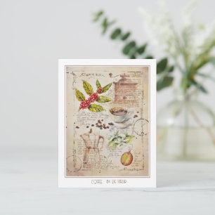 EVE Painted Coffee Botanical Illustration Postcard