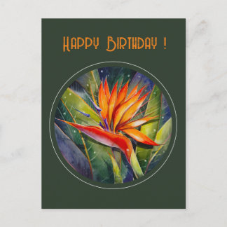 EVE Painted Strelizia Flower Postcard