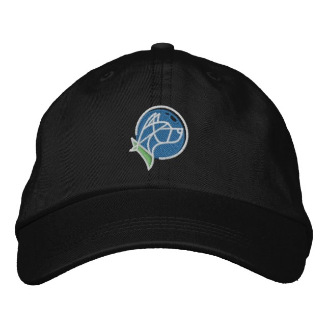 EvE-Scout Ball Cap (Front)