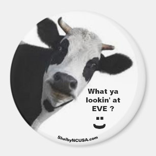 EVE What ya lookin' at? smile magnet