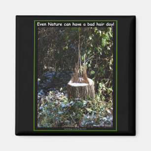 Even Nature Can Have A Bad Hair Day! Gifts Apparel Magnet
