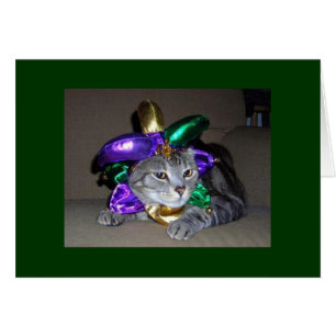 EVEN THE CAT IS CELEBRATING FOR "YOU" ARE "5O"