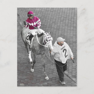 Even Thunder Postcard