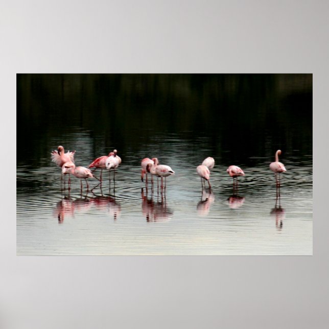 Evening at the Lake - Print (Front)