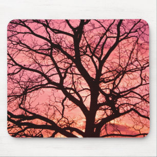 Evening Blush Tree Silhouette Mouse Pad