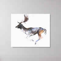 Evening Buck
